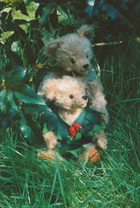 Sylvie und Bruno