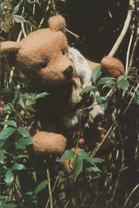 Tarzan